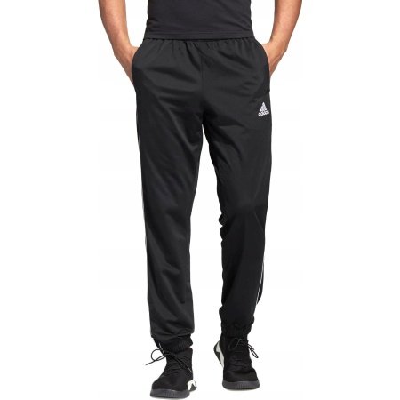 Adidas Kelnės Core18 Pes Pants CE9050