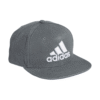 Pilka Adidas kepurė su baltu 3D logotipu ir tiesiu snapeliu – unisex modelis GM6298.