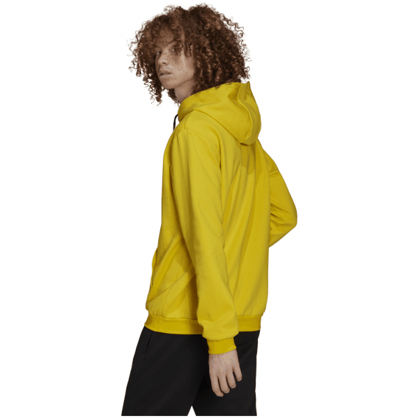 Adidas Džemperis Su Gobtuvu FL Hoodie HI2140 - Image 2