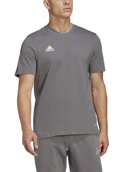 Adidas Marškinėliai Vyrams Medvilniniai Pilki Essentials Ent 22 Tee HC0449