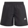 Adidas Šortai Maudymosi Swim Shorts GQ1063