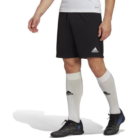 Adidas Šortai Entrada 22 Training Short M HB0575