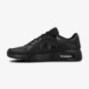 Nike Batai Laisvalaikio Vyrams Juodi Air Max Leather DH9636-001
