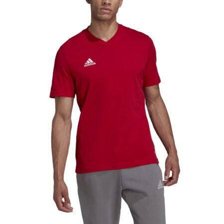 Adidas Essentials Ent22 Tee HC0451 vyriški raudoni marškinėliai